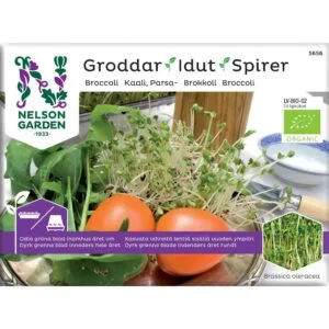 Spirefrø Brokkoli