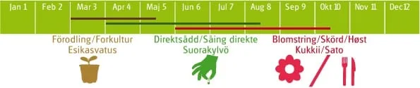 Gressløk Staro