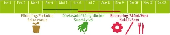Agurkurt