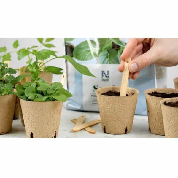 184800b seed såjord