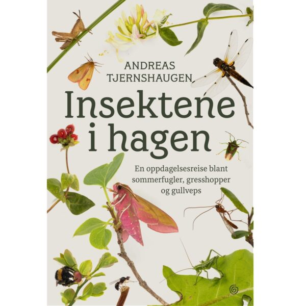 Insektene i hagen