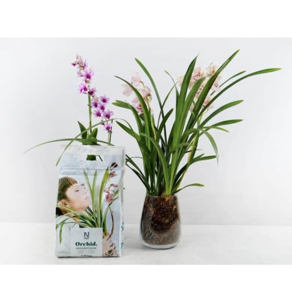 184802b ORCHID Orkidéjord