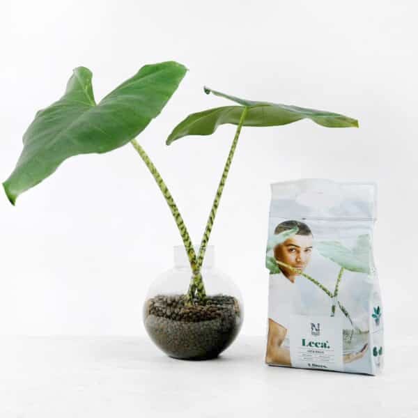 184803b Lecakuler Clay Pebble