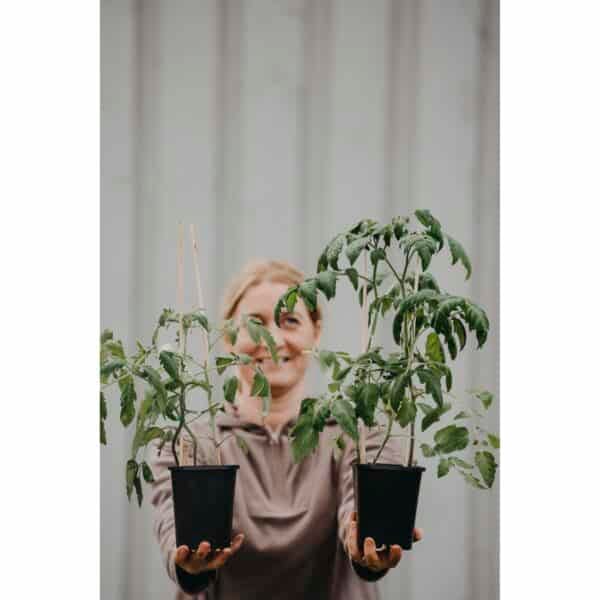 7053f Biohumus Terra