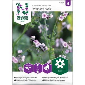 Forglemmegei, Kinesisk, Mystery Rose