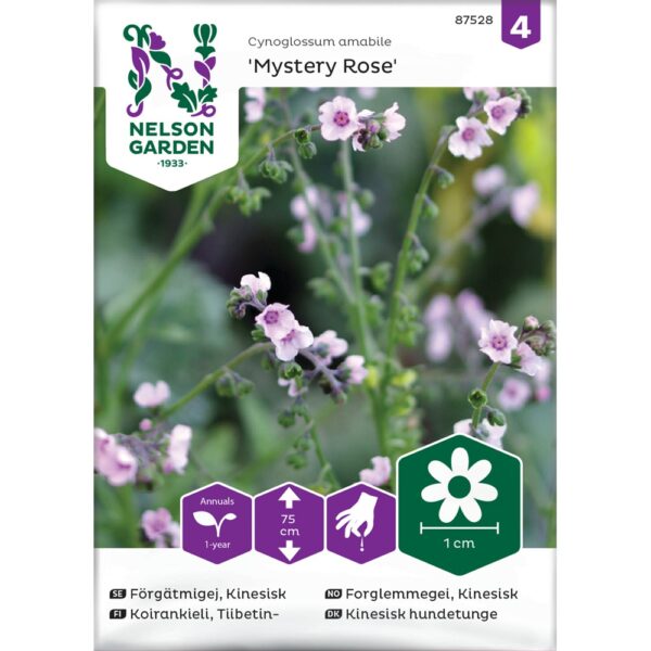 Forglemmegei, Kinesisk, Mystery Rose