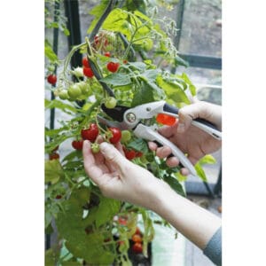 92062_15_01 Beskjæringssaks med ørnenese