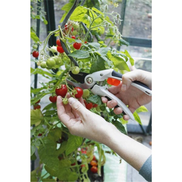 92062_15_01 Beskjæringssaks med ørnenese