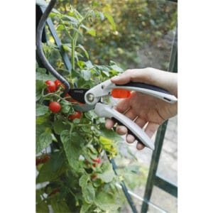 92062_15_03 Beskjæringssaks med ørnenese