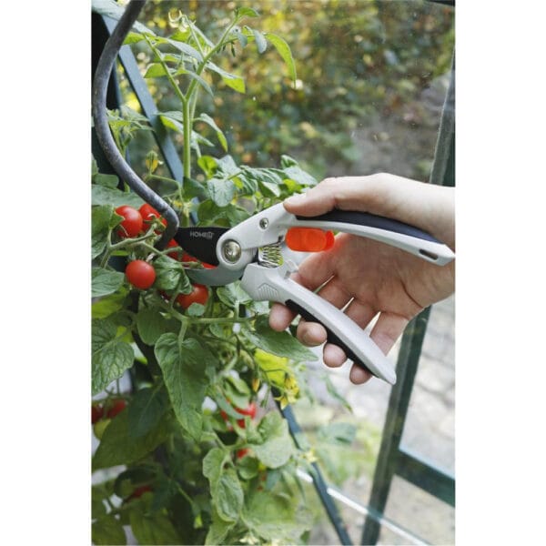 92062_15_03 Beskjæringssaks med ørnenese