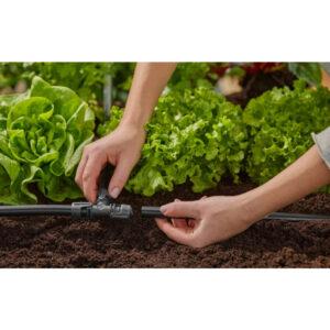 Micro Drip System