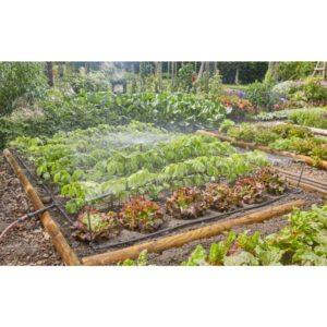 Micro Drip System