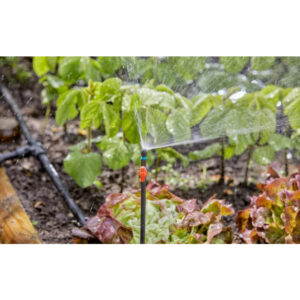 Micro Drip System