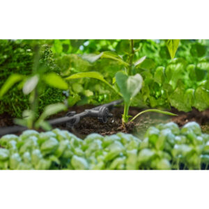 Micro Drip System