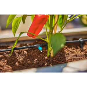 Micro Drip System