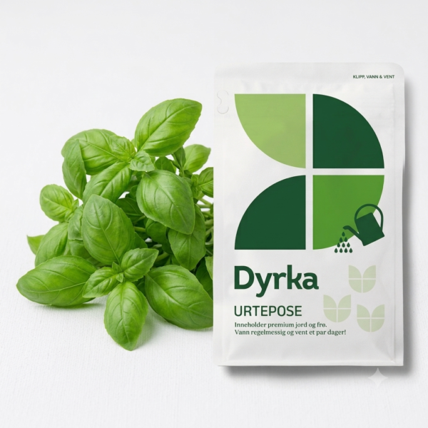 Dyrka basilikum