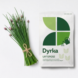 dyrka gressløk