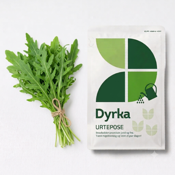 ruccola dyrka ruccola